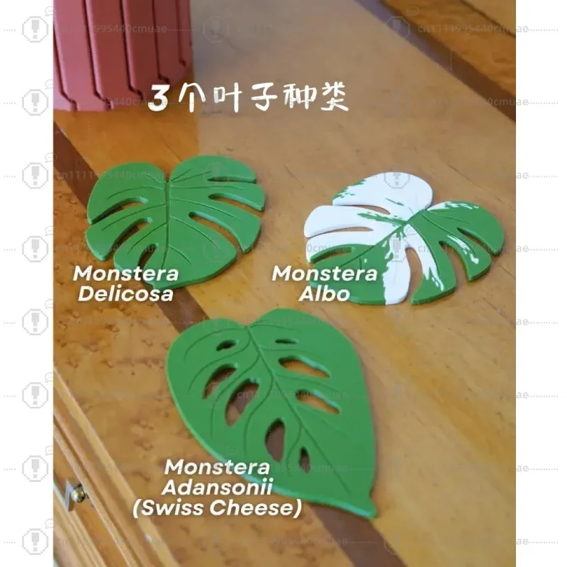 Monstera Plant Coaster Set - Image 3