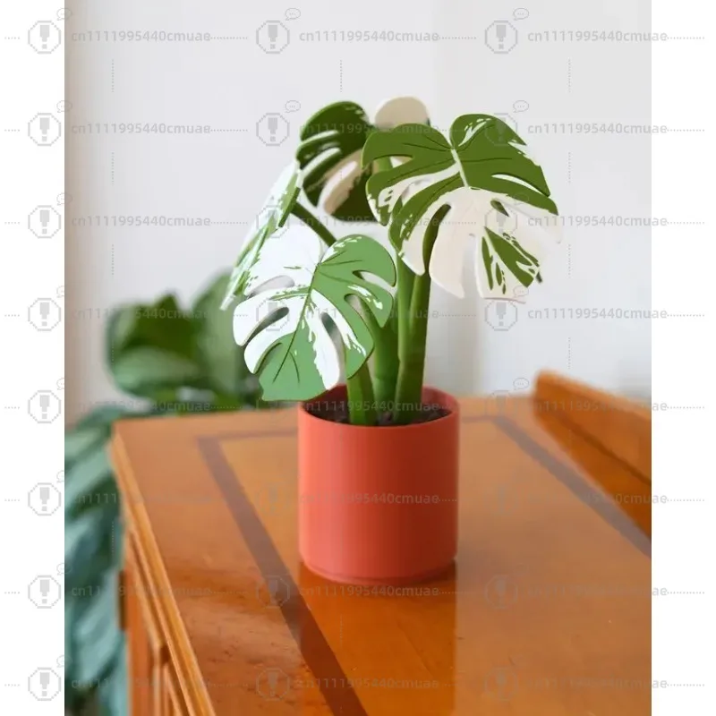 Monstera Plant Coaster Set - Image 5