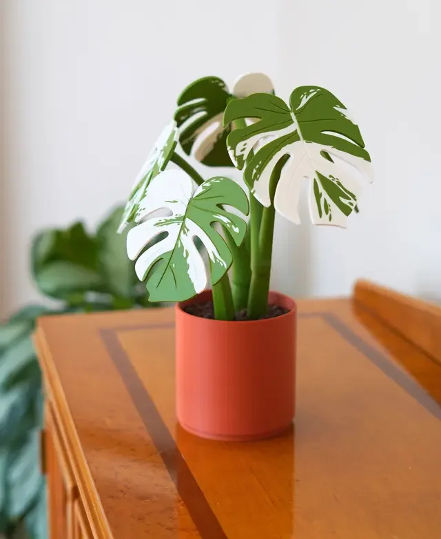 Monstera Plant Coaster Set - Image 7