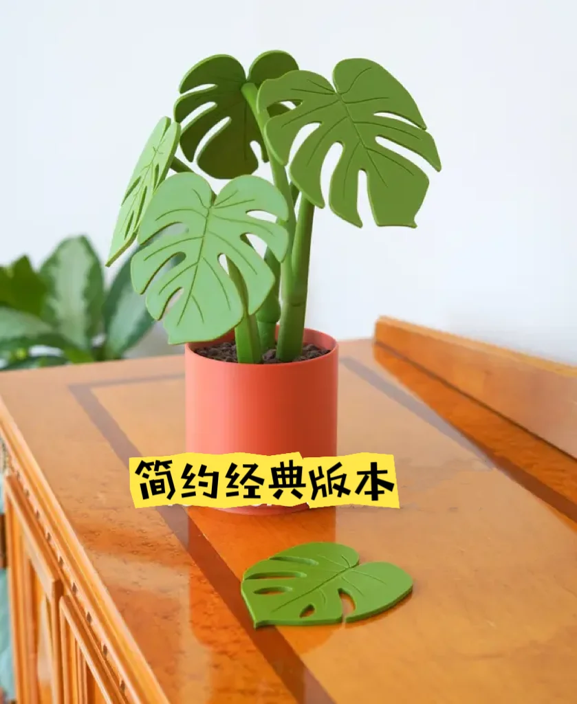 Monstera Plant Coaster Set - Image 8