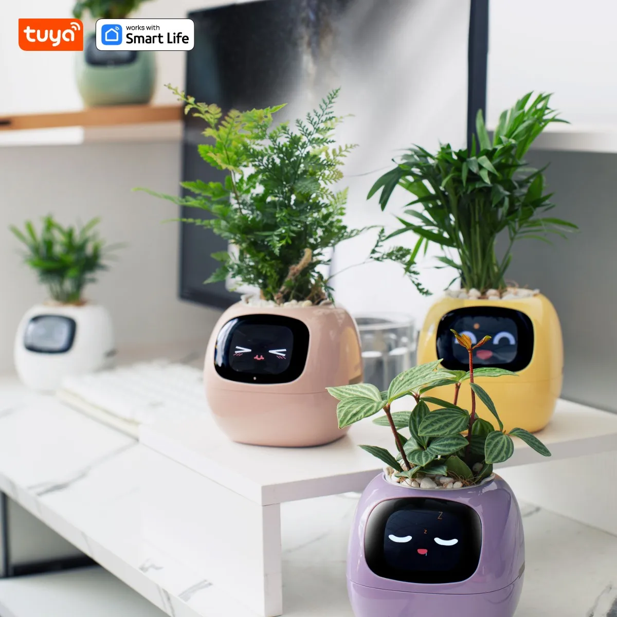 Smart Robot Planter - Image 5