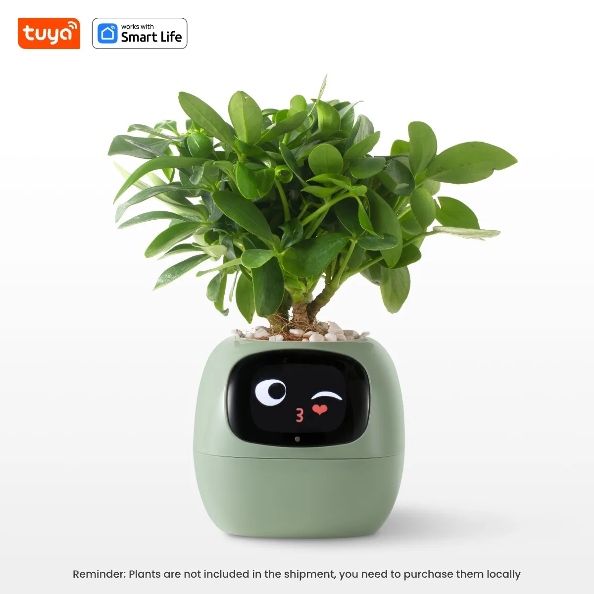 Smart Robot Planter - Image 8