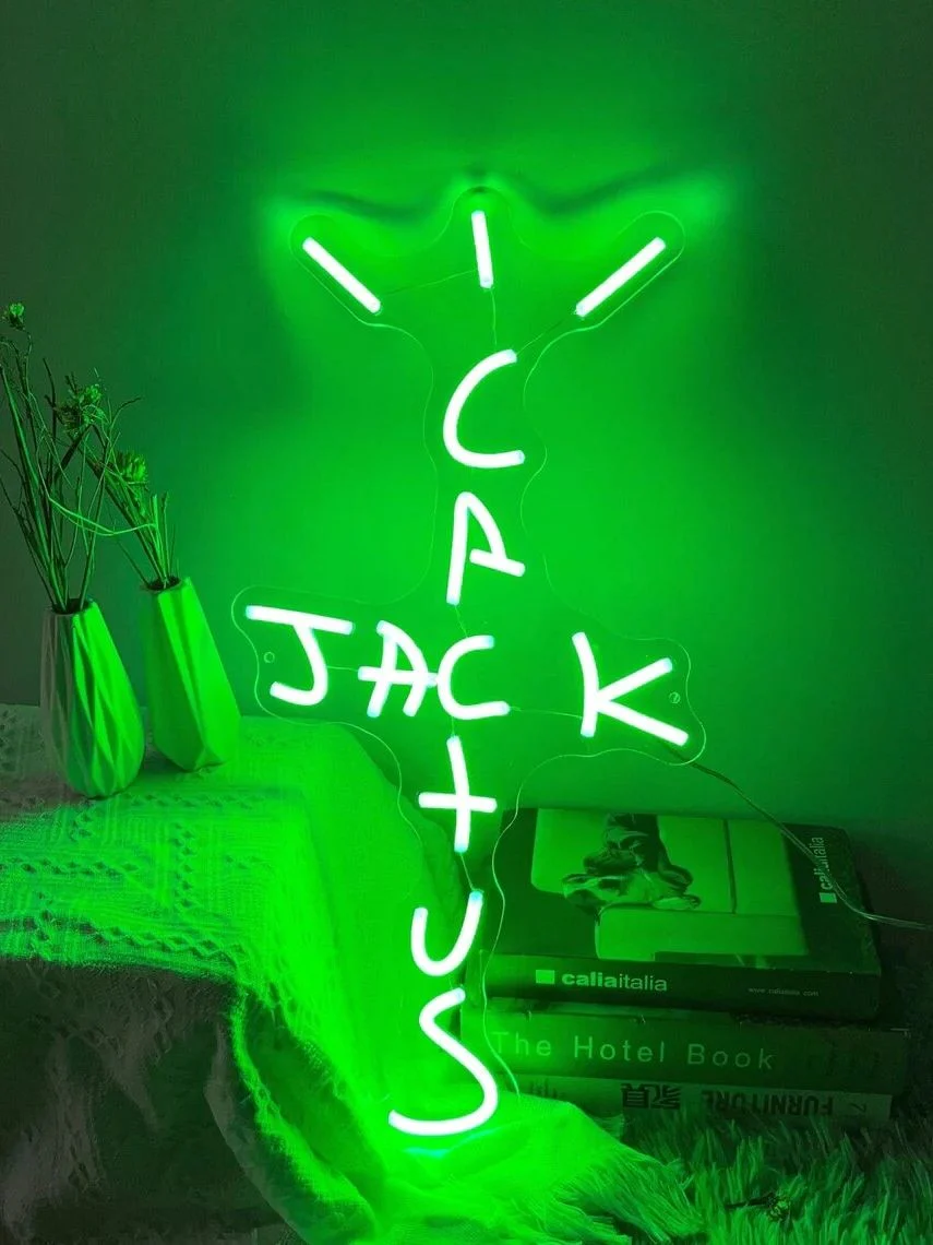 Cactus Album LED Light - Image 5