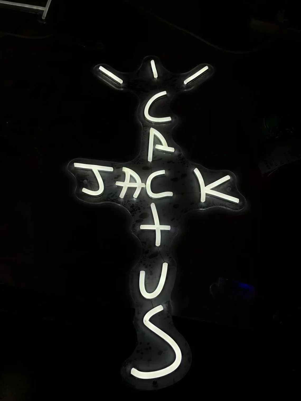 Cactus Album LED Light - Image 6