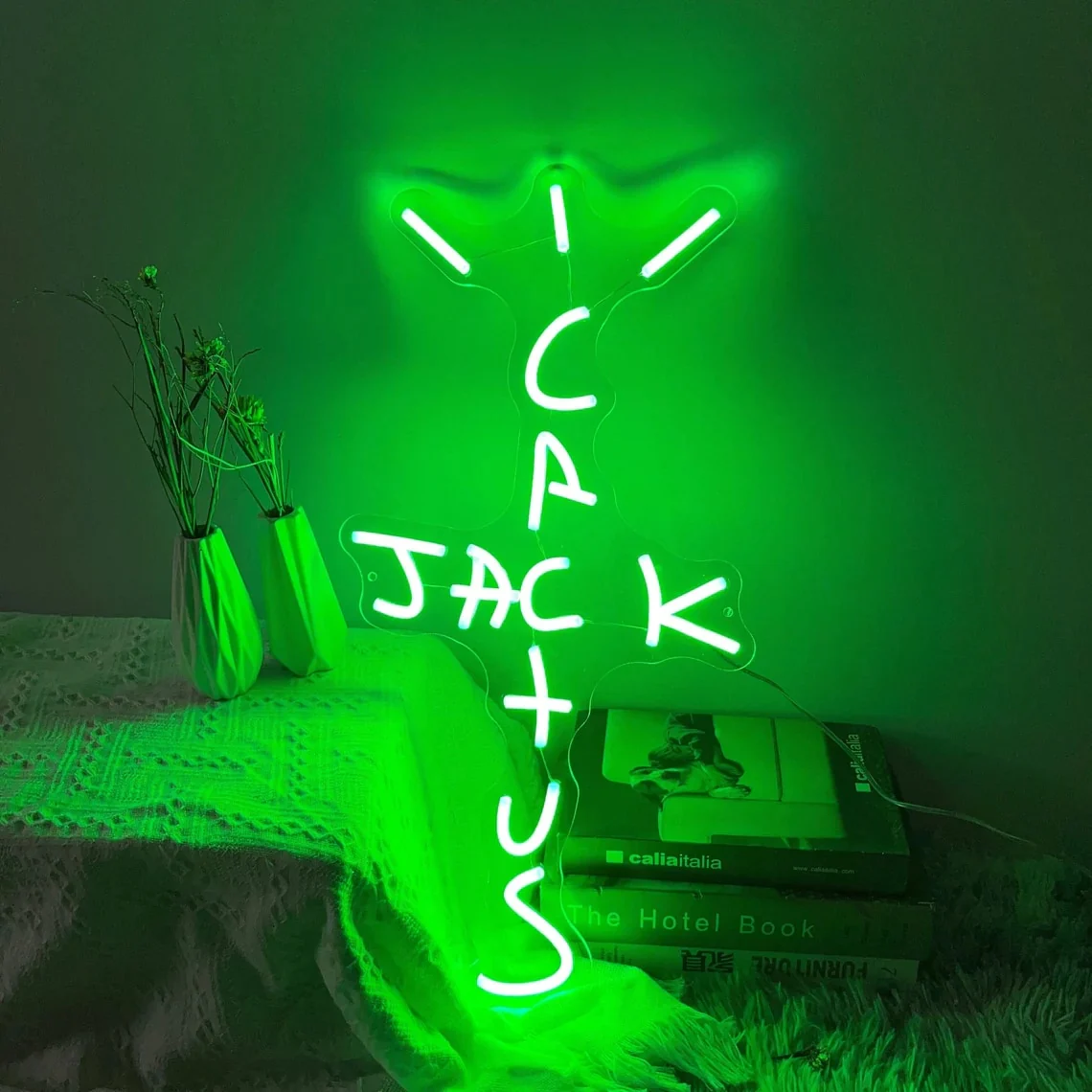 Cactus Album LED Light - Image 7