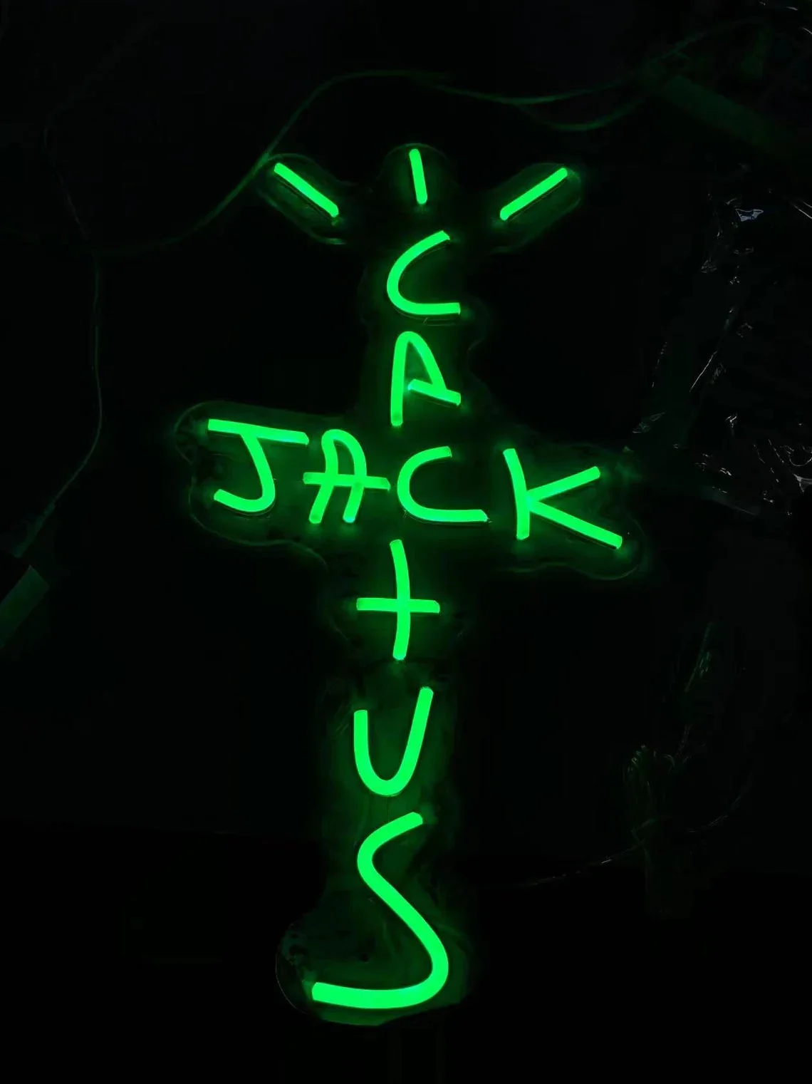 Cactus Album LED Light - Image 8